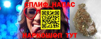 гашик Обь